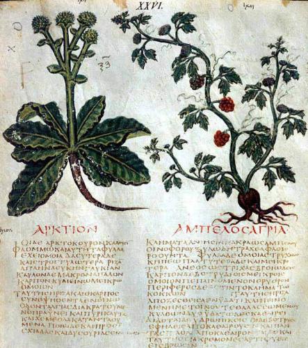 http://dbunico20.beniculturali.it/DBUnicoMedia/repository/images/01-08-2017/med/5ea11a38d6d74ca1edeb95b7edee42b2ecdf1.jpg