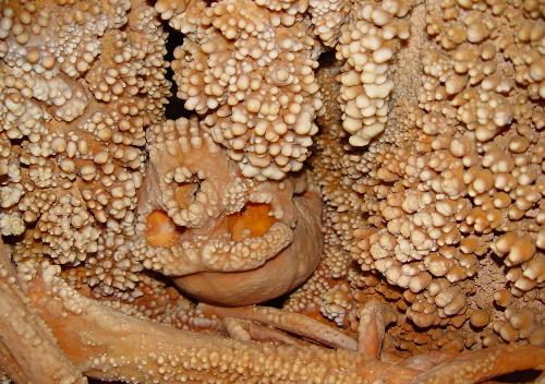 Centro visite della Grotta di Lamalunga