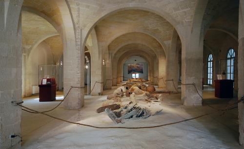 Antiquarium di Favignana (comune)