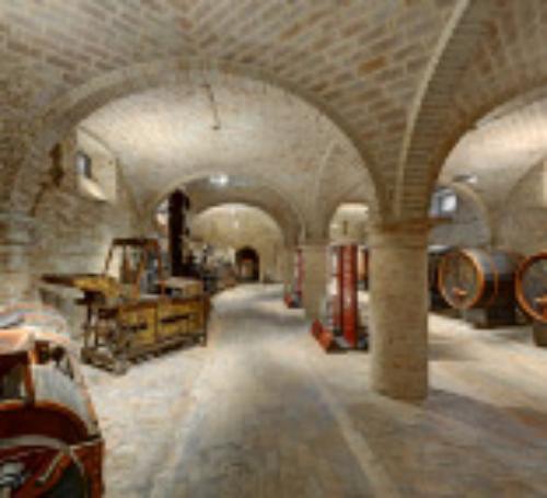 Museo del vino di Tolentino