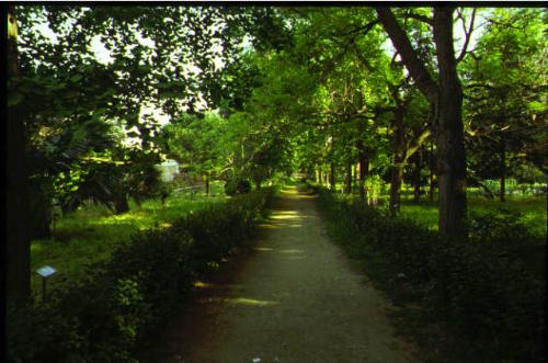 Istituto orto botanico