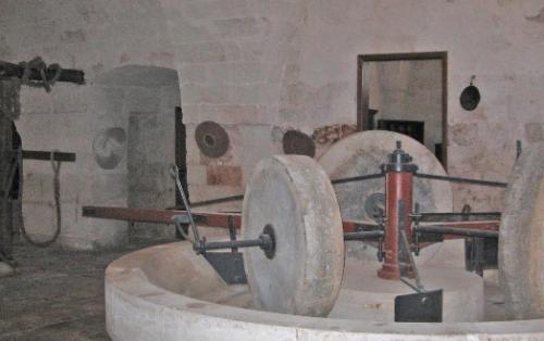Museo dell'olio d'oliva di Fasano