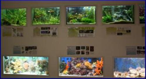 Museo di zoologia di Bari