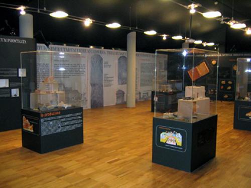 Mostra permanente - "Il museo della Città romana di Claterna"