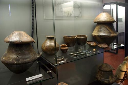 Museo civico archeologico e paleoambientale "E. Silvestri"
