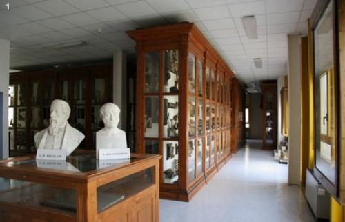 Museo di anatomia patologica e teratologia veterinaria "G.B. Ercolani"