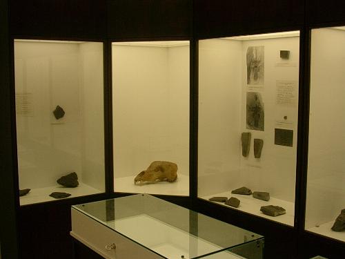 Museo dei fossili dei Monti Intelvesi