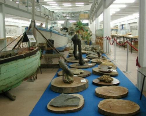 Museo malacologico piceno